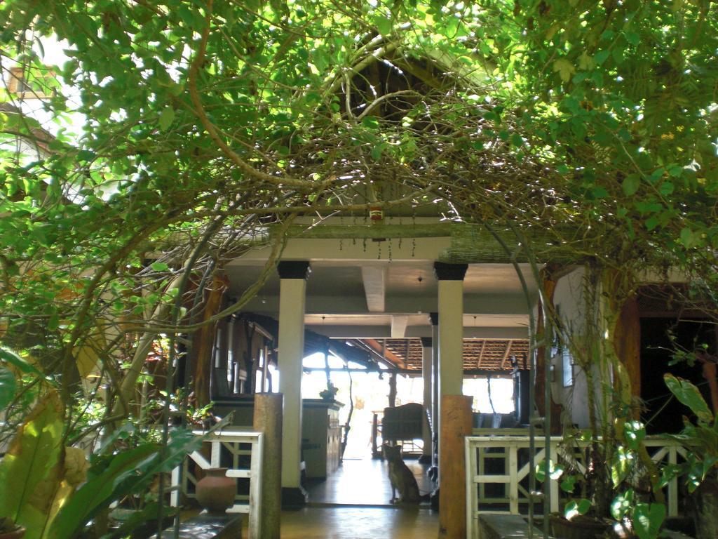 Ibisbird Bungalows, Sport, And Restaurant Гостевой дом 3*